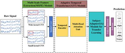 MSATNet: multi-scale adaptive transformer network for motor imagery classification